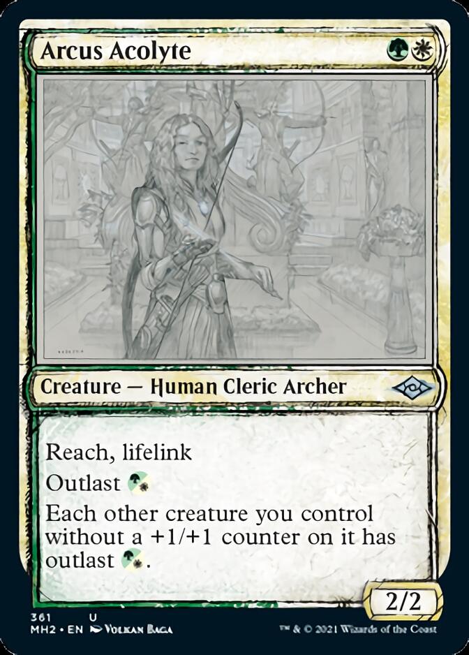 Arcus Acolyte (Sketch) [Modern Horizons 2] | Magic Magpie