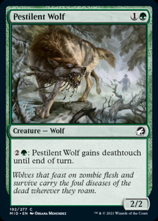 Pestilent Wolf [Innistrad: Midnight Hunt] | Magic Magpie