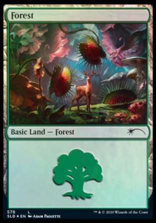 Forest (Predatory) (578) [Secret Lair Drop Promos] | Magic Magpie