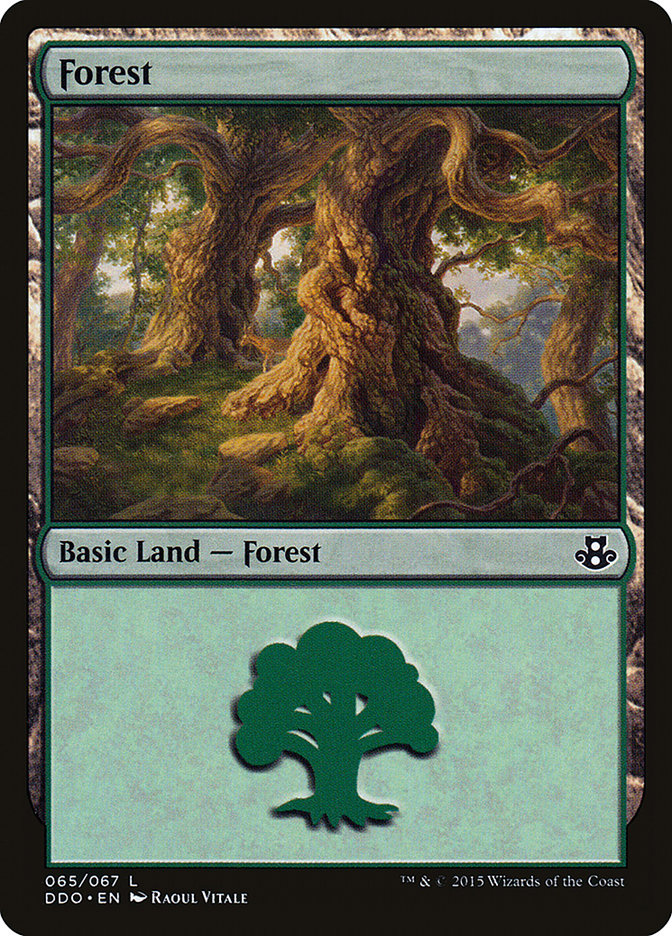 Forest (65) [Duel Decks: Elspeth vs. Kiora] | Magic Magpie