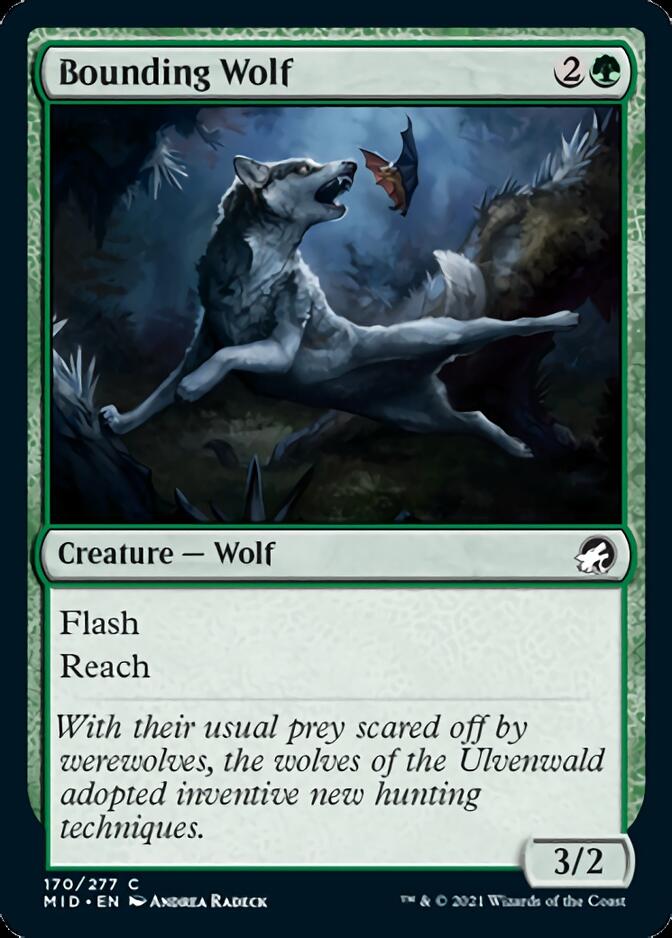 Bounding Wolf [Innistrad: Midnight Hunt] | Magic Magpie
