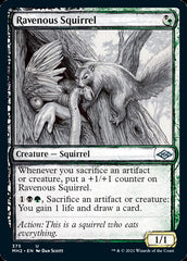 Ravenous Squirrel (Sketch) [Modern Horizons 2] | Magic Magpie