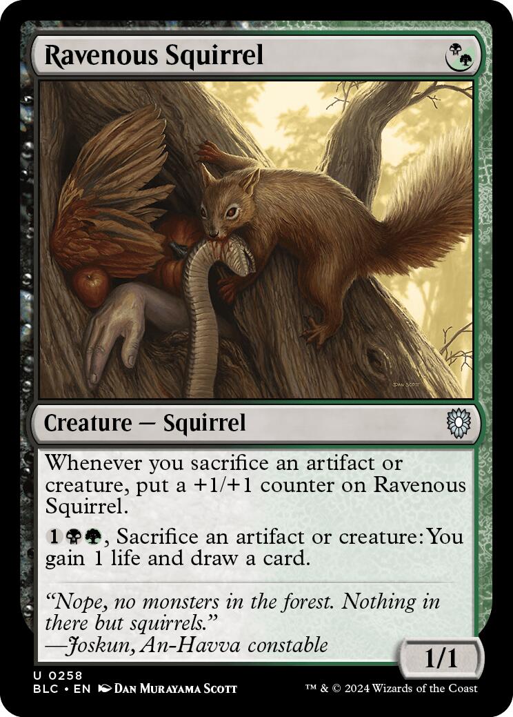 Ravenous Squirrel [Bloomburrow Commander] | Magic Magpie