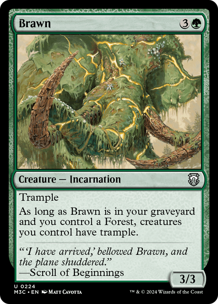 Brawn [Modern Horizons 3 Commander] | Magic Magpie