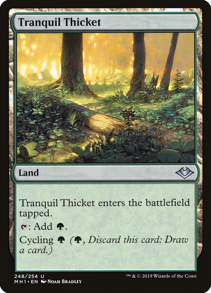 Tranquil Thicket [Modern Horizons] | Magic Magpie