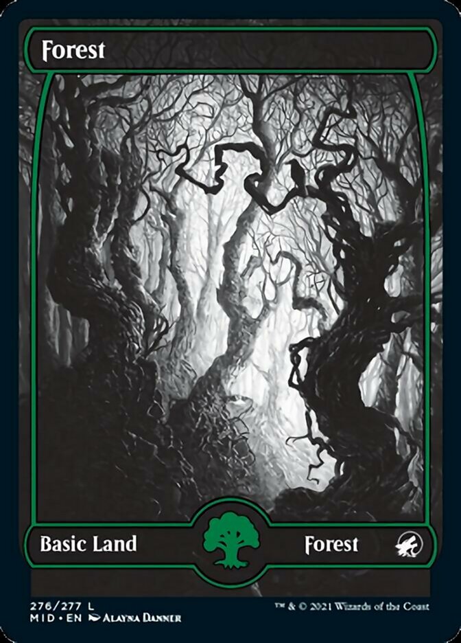 Forest (276) [Innistrad: Midnight Hunt] | Magic Magpie