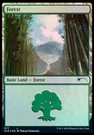 Forest (Walls) (577) [Secret Lair Drop Promos] | Magic Magpie