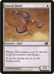 Suntail Hawk (Oversized) [Eighth Edition Box Topper] | Magic Magpie