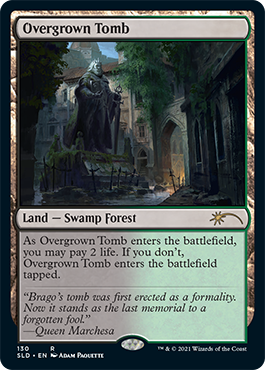 Overgrown Tomb [Secret Lair Drop Series] | Magic Magpie