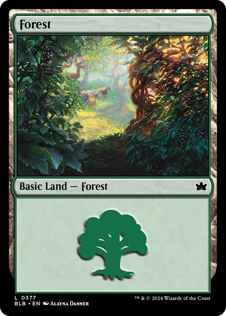 Forest (0377) [Bloomburrow] | Magic Magpie