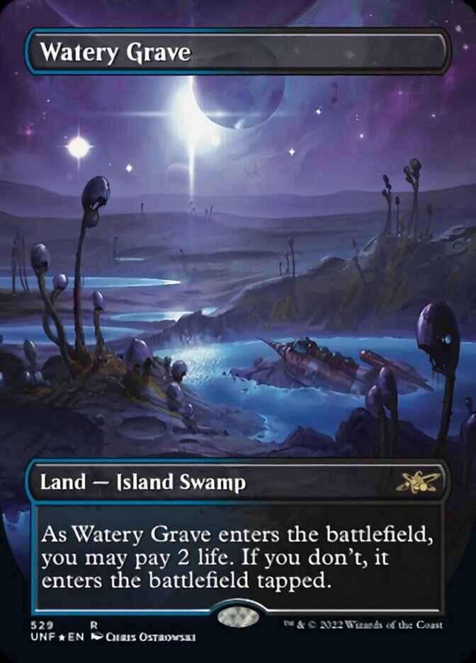 Watery Grave (Borderless) (Galaxy Foil) [Unfinity] | Magic Magpie