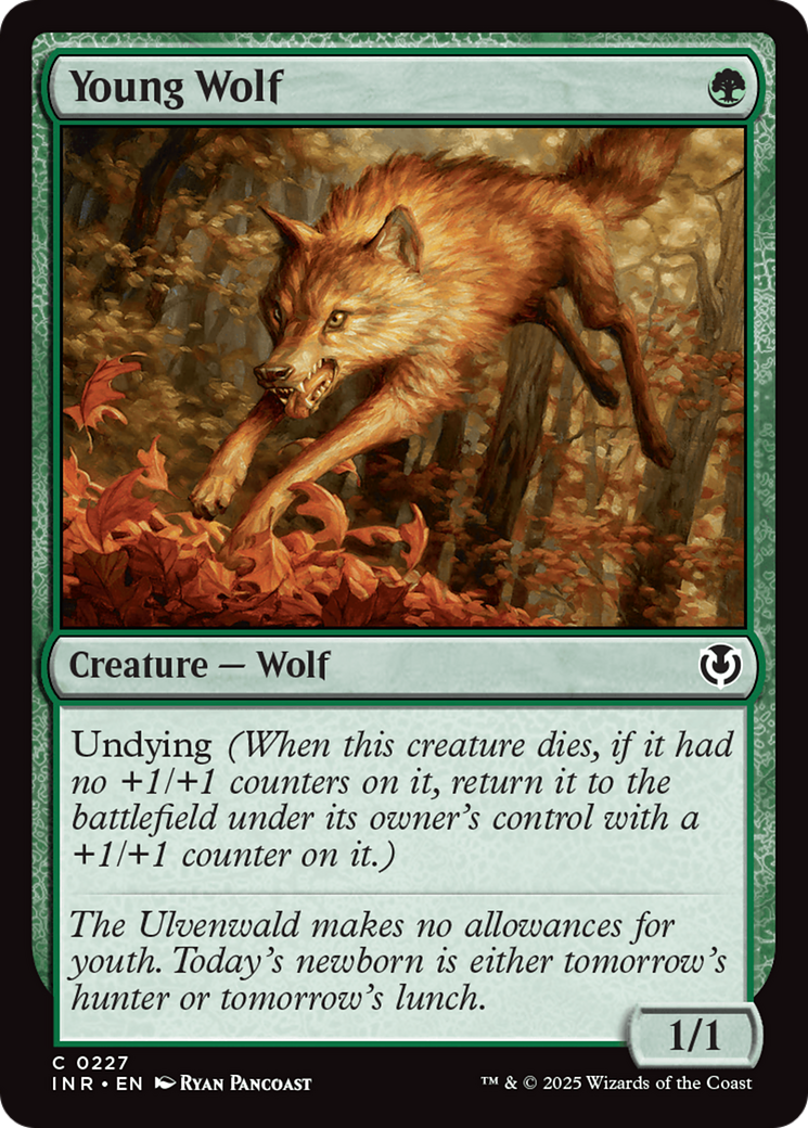 Young Wolf [Innistrad Remastered] | Magic Magpie