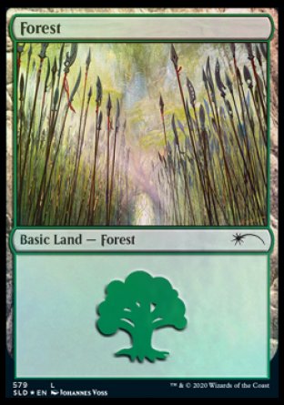 Forest (Elves) (579) [Secret Lair Drop Promos] | Magic Magpie