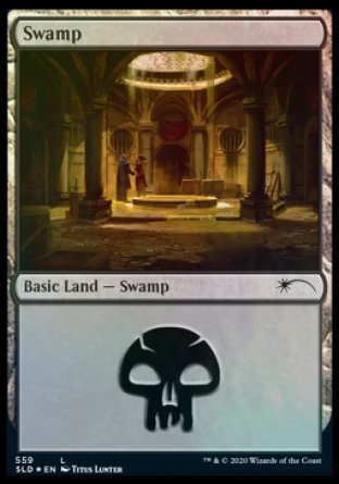 Swamp (Rogues) (559) [Secret Lair Drop Promos] | Magic Magpie