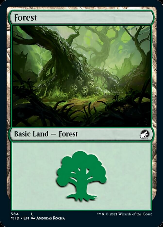 Forest (384) [Innistrad: Midnight Hunt] | Magic Magpie