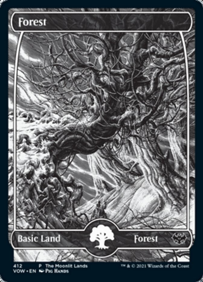 Forest (The Moonlit Lands) (Foil Etched) [Innistrad: Crimson Vow Promos] | Magic Magpie