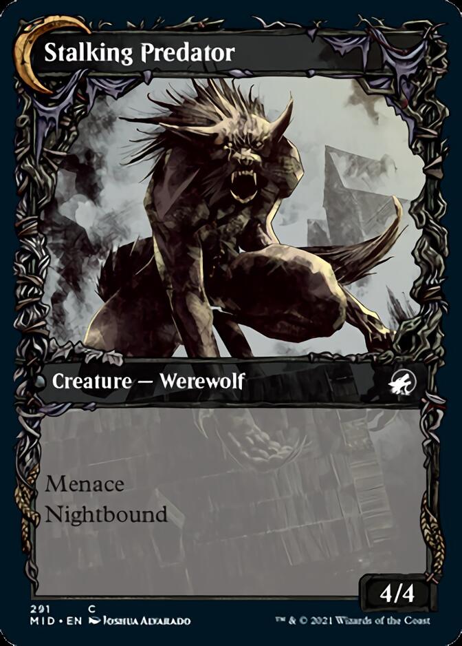 Shady Traveler // Stalking Predator (Showcase Equinox) [Innistrad: Midnight Hunt] | Magic Magpie