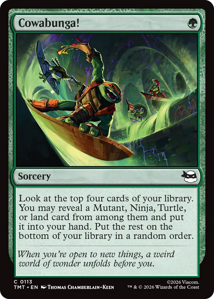 Cowabunga! [Teenage Mutant Ninja Turtles] | Magic Magpie