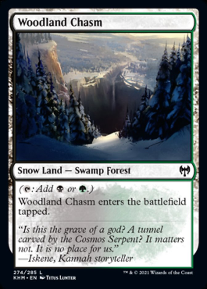 Woodland Chasm [Kaldheim] | Magic Magpie