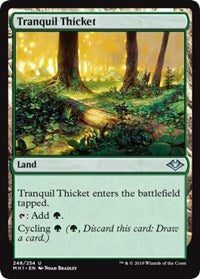 Tranquil Thicket [Modern Horizons] | Magic Magpie