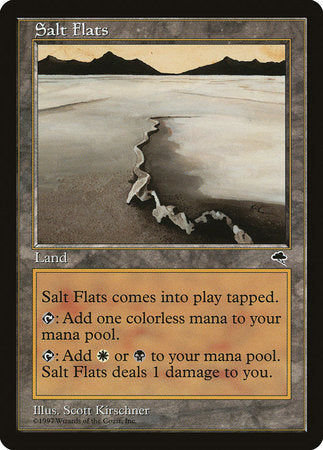 Salt Flats [Tempest] | Magic Magpie