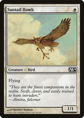 Suntail Hawk [Magic 2014] | Magic Magpie