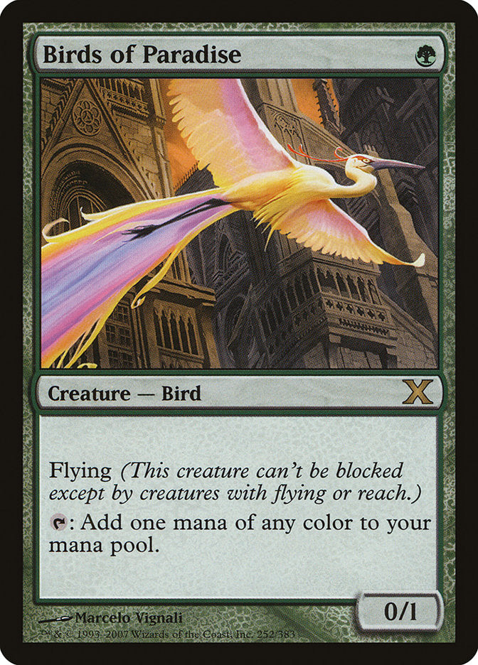 Birds of Paradise [Tenth Edition] | Magic Magpie