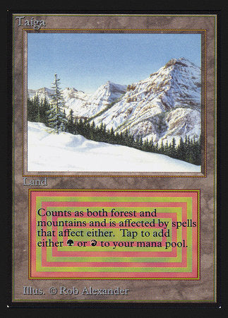 Taiga (IE) [Intl. Collectors’ Edition] | Magic Magpie