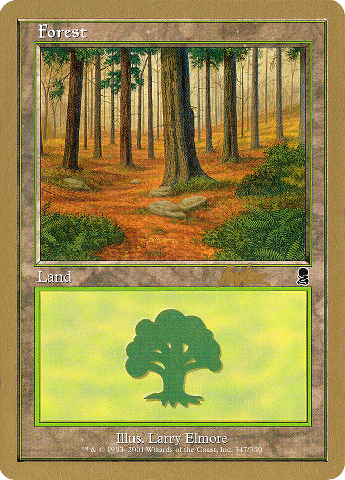 Forest (bk347) (Brian Kibler) [World Championship Decks 2002] | Magic Magpie