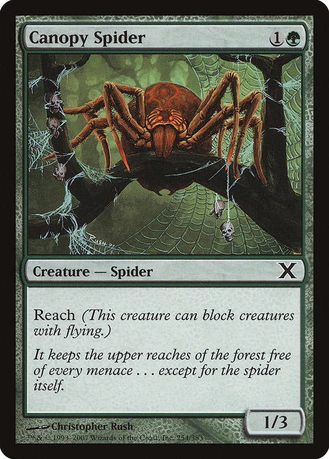 Canopy Spider [Tenth Edition] | Magic Magpie