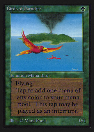 Birds of Paradise (IE) [Intl. Collectors’ Edition] | Magic Magpie