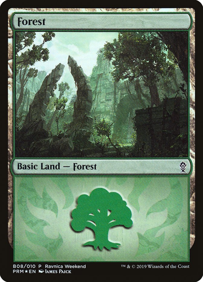 Forest (B08) [Ravnica Allegiance Guild Kit] | Magic Magpie