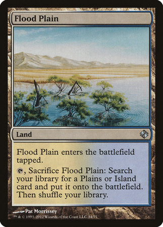 Flood Plain [Duel Decks: Venser vs. Koth] | Magic Magpie