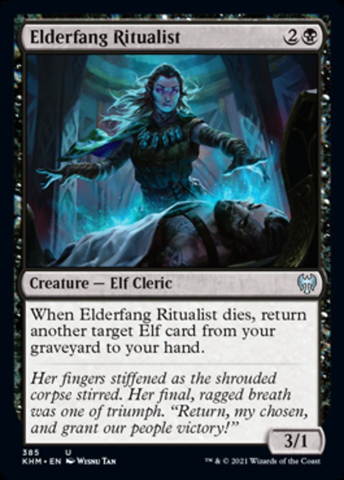 Elderfang Ritualist [Kaldheim] | Magic Magpie