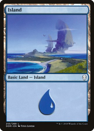 Island (255) [Dominaria] | Magic Magpie