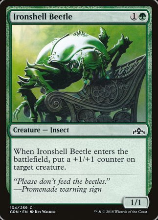 Ironshell Beetle [Guilds of Ravnica] | Magic Magpie