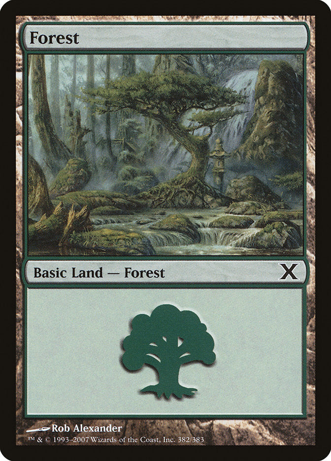 Forest (382) [Tenth Edition] | Magic Magpie