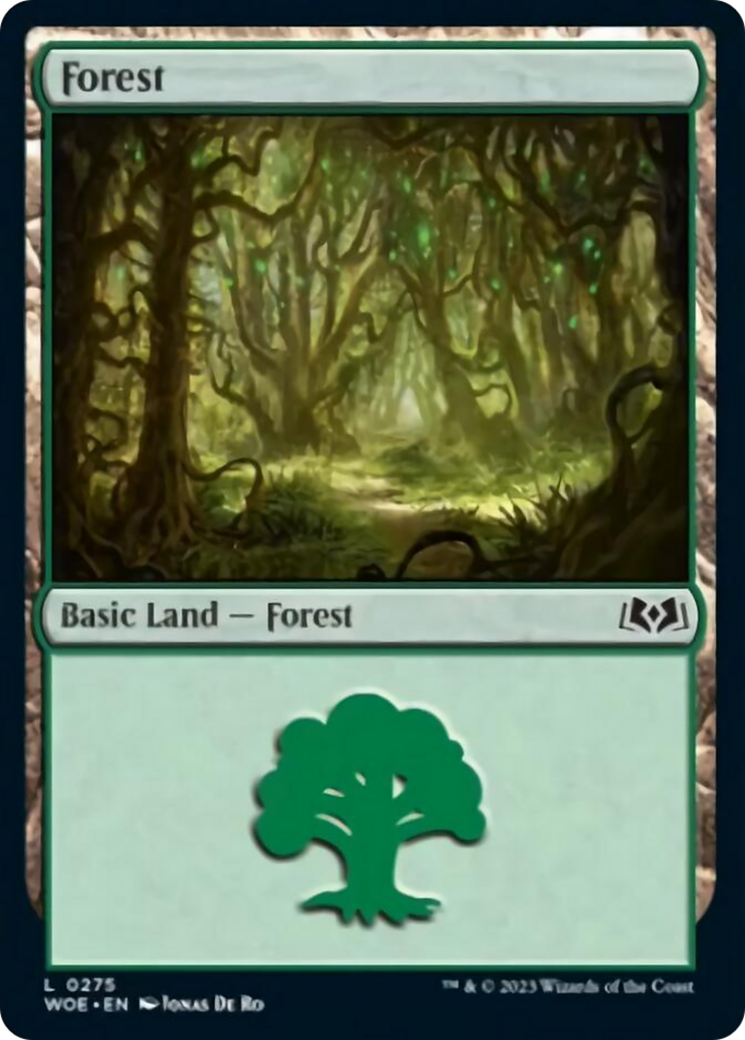 Forest (0275) [Wilds of Eldraine] | Magic Magpie