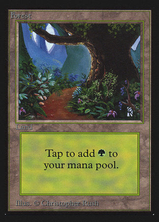 Forest (B) (CE) [Collectors’ Edition] | Magic Magpie
