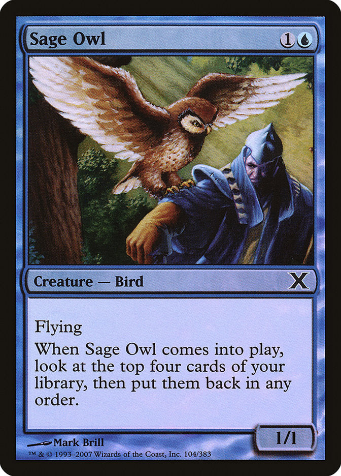 Sage Owl (Premium Foil) [Tenth Edition] | Magic Magpie