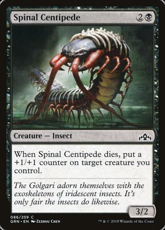 Spinal Centipede [Guilds of Ravnica] | Magic Magpie