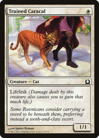 Trained Caracal [Return to Ravnica] | Magic Magpie