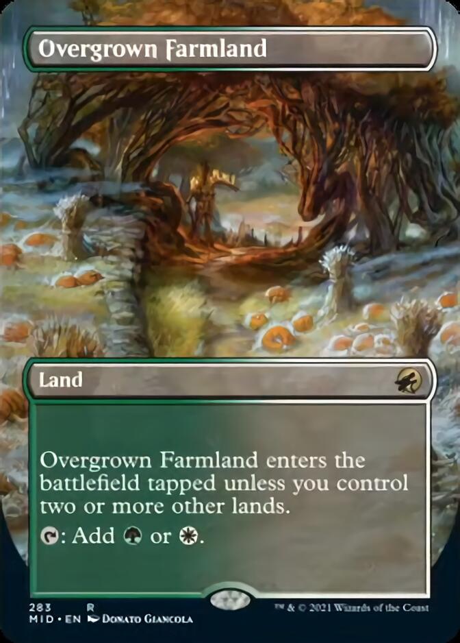 Overgrown Farmland (Borderless) [Innistrad: Midnight Hunt] | Magic Magpie