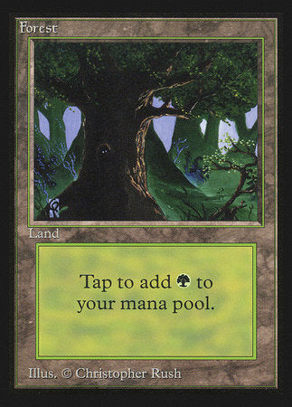 Forest (Eyes)(IE) [Intl. Collectors’ Edition] | Magic Magpie