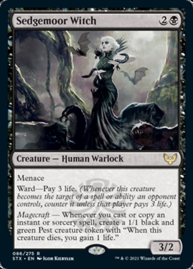 Sedgemoor Witch [Strixhaven: School of Mages] | Magic Magpie