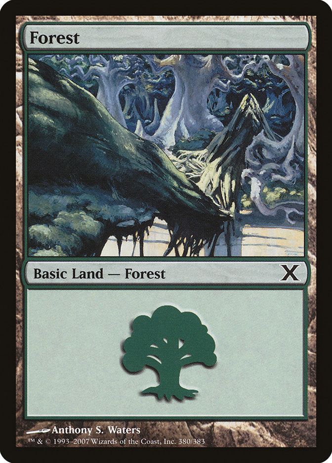 Forest (380) [Tenth Edition] | Magic Magpie