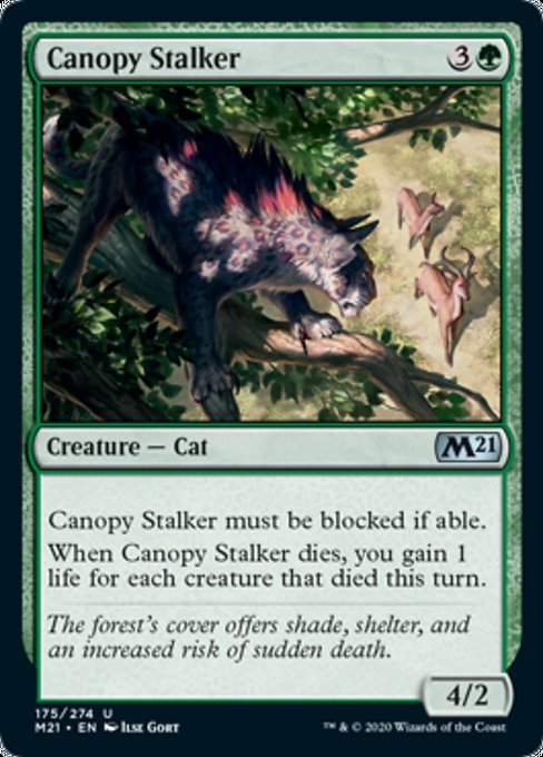 Canopy Stalker [Core Set 2021] | Magic Magpie