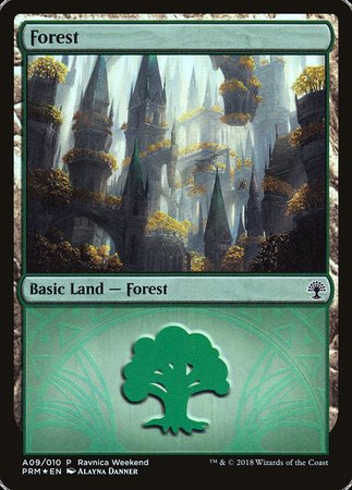 Forest - Selesnya (A09) [GRN Ravnica Weekend] | Magic Magpie