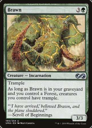 Brawn [Ultimate Masters] | Magic Magpie