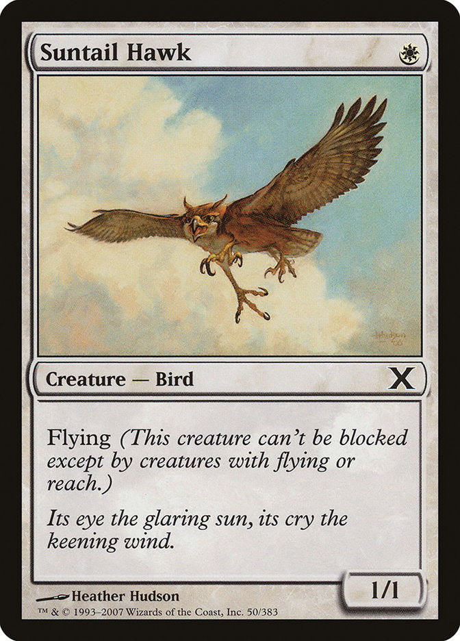 Suntail Hawk [Tenth Edition] | Magic Magpie